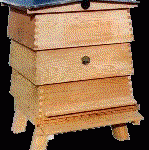 WBC hive