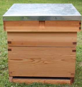 Standard National Hive