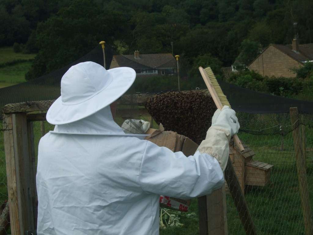 Swarm Catcher Swarm Catcher