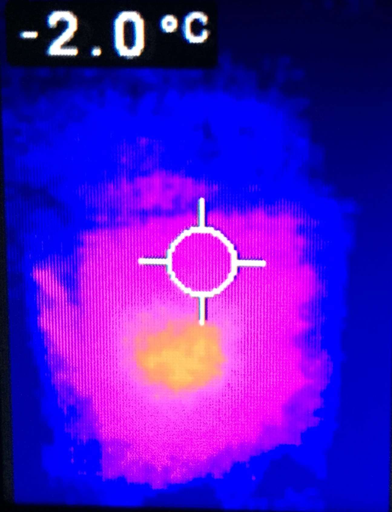 Thermal Images Show Honeybee Cluster | Talking With Bees